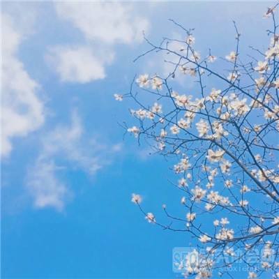 新神魔大陆互通版下载